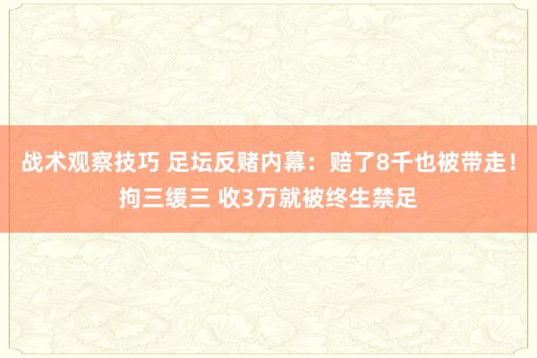 战术观察技巧 足坛反赌内幕：赔了8千也被带走！拘三缓三 收3万就被终生禁足