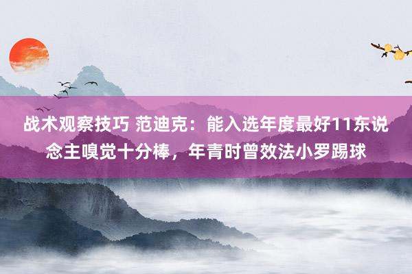 战术观察技巧 范迪克：能入选年度最好11东说念主嗅觉十分棒，年青时曾效法小罗踢球