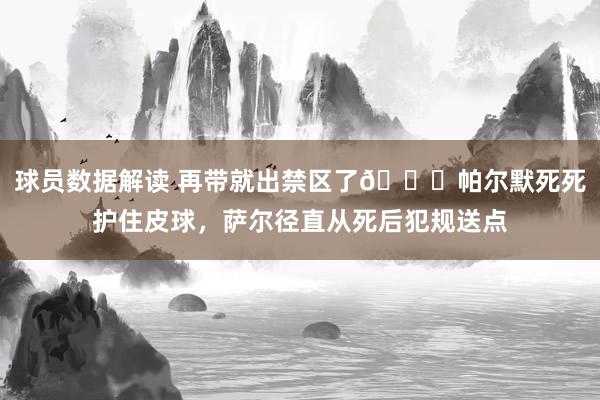 球员数据解读 再带就出禁区了😂帕尔默死死护住皮球，萨尔径直从死后犯规送点