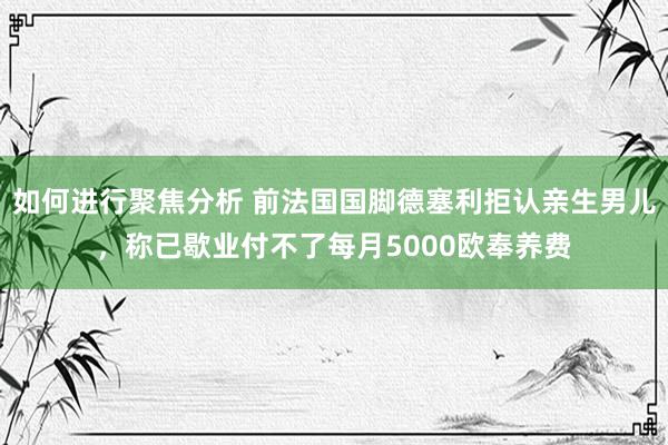 如何进行聚焦分析 前法国国脚德塞利拒认亲生男儿，称已歇业付不了每月5000欧奉养费