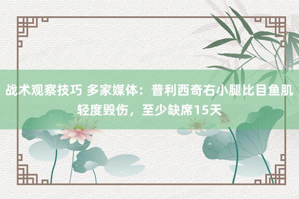 战术观察技巧 多家媒体：普利西奇右小腿比目鱼肌轻度毁伤，至少缺席15天