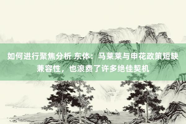 如何进行聚焦分析 东体：马莱莱与申花政策短缺兼容性，也浪费了许多绝佳契机