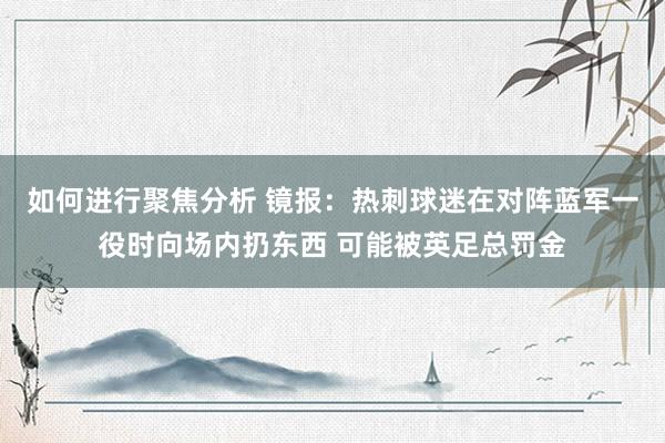 如何进行聚焦分析 镜报：热刺球迷在对阵蓝军一役时向场内扔东西 可能被英足总罚金