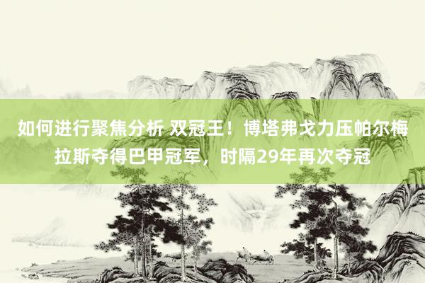 如何进行聚焦分析 双冠王！博塔弗戈力压帕尔梅拉斯夺得巴甲冠军，时隔29年再次夺冠