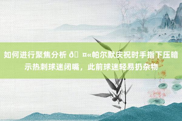 如何进行聚焦分析 🤫帕尔默庆祝时手指下压暗示热刺球迷闭嘴，此前球迷轻易扔杂物