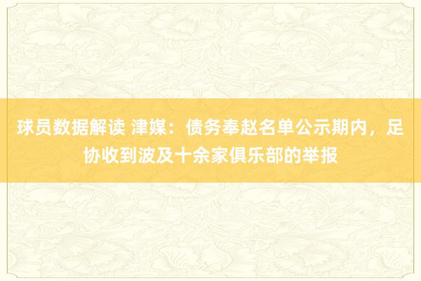 球员数据解读 津媒：债务奉赵名单公示期内，足协收到波及十余家俱乐部的举报