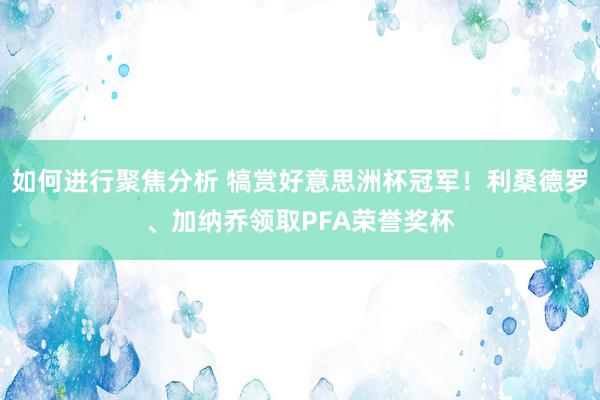 如何进行聚焦分析 犒赏好意思洲杯冠军！利桑德罗、加纳乔领取PFA荣誉奖杯