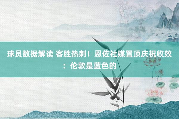 球员数据解读 客胜热刺！恩佐社媒置顶庆祝收效：伦敦是蓝色的